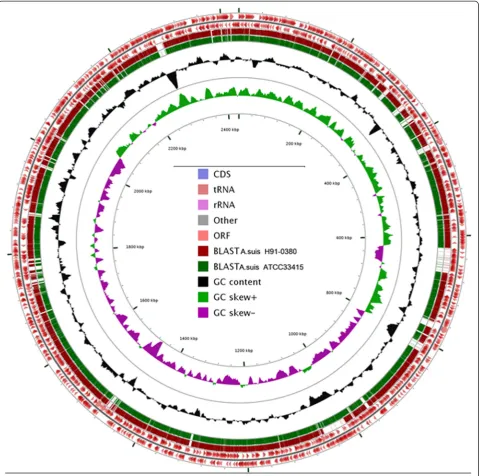 Figure 4 Circular map of the A. equuli subsp. equuli ATCC 19392T genome generated using the CGView Server [49]
