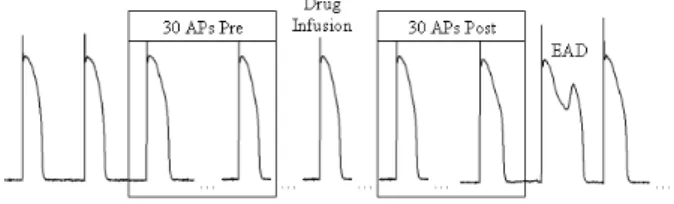 Figure 5: Overview of the selection of two AP series from a cell