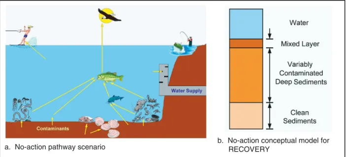 Figure 8 shows the no-action scenario as implemented in ARAMS/FRAMES. Implementation of the scenario begins with selection of the contaminants of concern and the receptor species