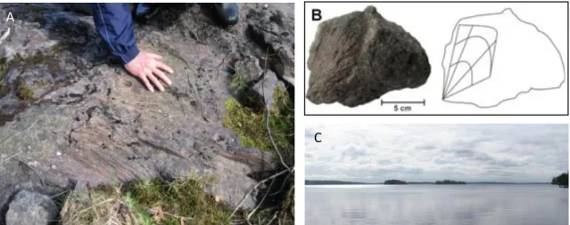Figure  14.  (A)  Glacial  striations  and  their  direction  in  bedrock  shown  by  Martti  Lehtinen,  (B)  shatter  cone  boulder and  a line-drawing of downward pointing apex