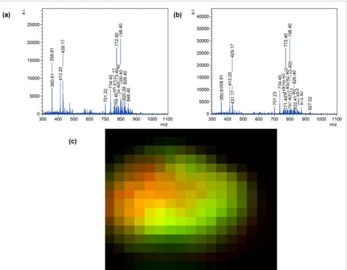 Figure 6. (a and b) MAIV-MS lipid profiles from a rat brain section. (c) Initial images of a horizontal section of rat brain acquired on the instrument with the 2 mm sampling cone bi-colour overlay of m/z 611 and m/z 798.4.
