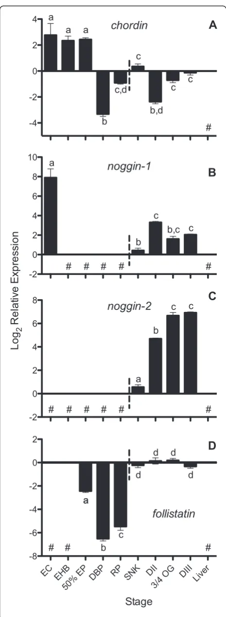 Figure 4 Expression of putative chordin (A), noggin-1 (B),noggin-2 (C), and follistatin (D) transcripts during A