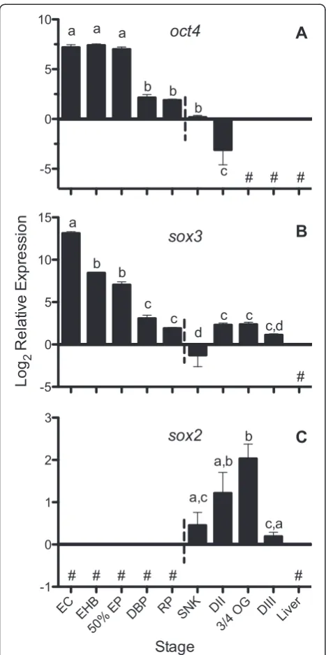 Figure 2 Expression of putativenoted with #. EC, early cleavage; EHB, early hollow blastula; 50%EP, 50% epiboly; DBP, dispersed blastomere phases; RP, reaggregationphases; SNK, solid neural keel; DII, diapause II; 3/4 OG, three-quarterstranscripts duringst
