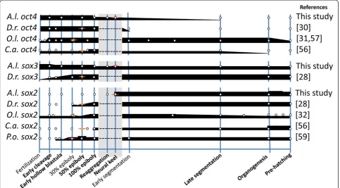 Figure 3 Gene expression patterns of(white dots) are inferred from available qPCR data