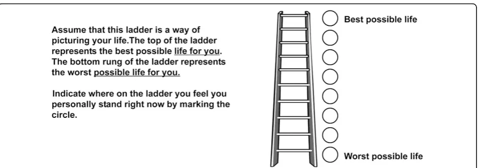 Figure 2 Quality of life ladder. Notes: Derived from Cantril’s self-anchoring ladder [50]