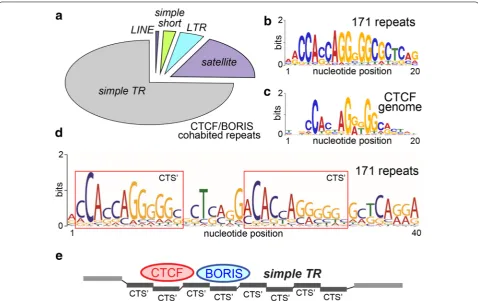 Fig. 2 Distribution of repeat sequences and the co-binding consensus for BORIS and CTCFsites
