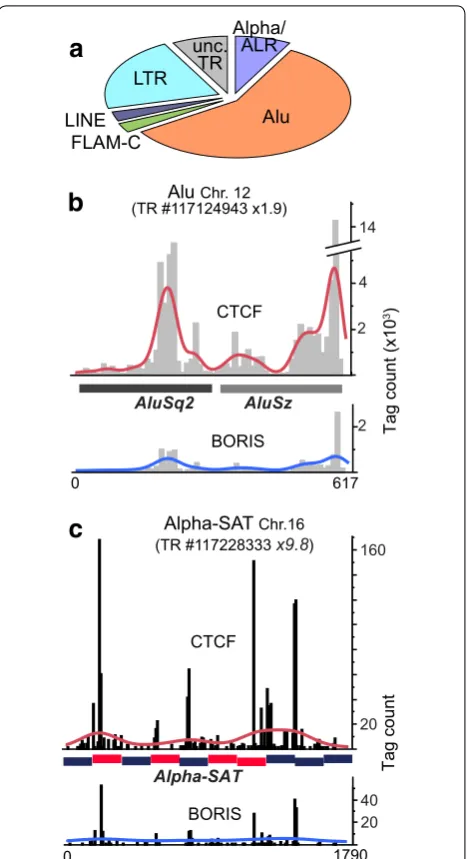 Fig. 3 Repeats preferentially bound by CTCF are comprised mostly of evolutionary older high-copy repeats
