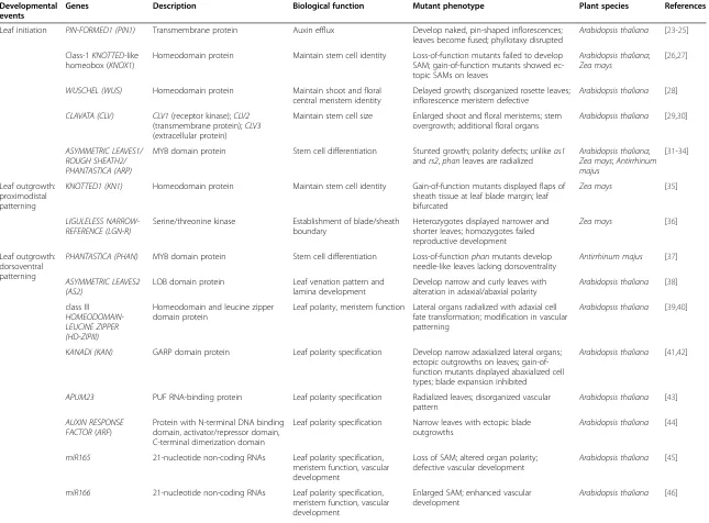 Table 1 Genes involved in major developmental events of the leaf