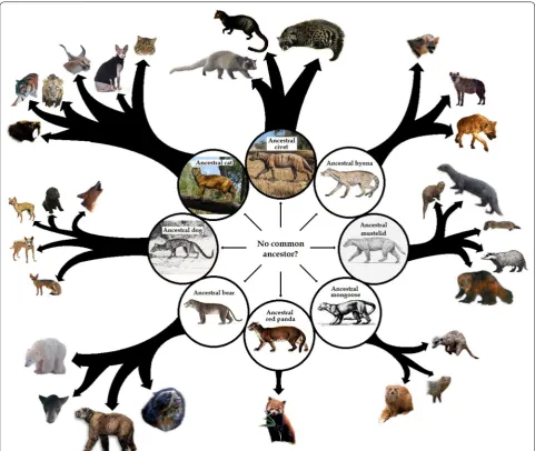 Fig. 5 Nearly the same figure as Fig. 4 but now with the hypothesized basal ancestor (the “archaeobaramin”) of each group likely to be identified by AiG creationists as representative of the original member of each of their defined kinds (see Table 1 for d