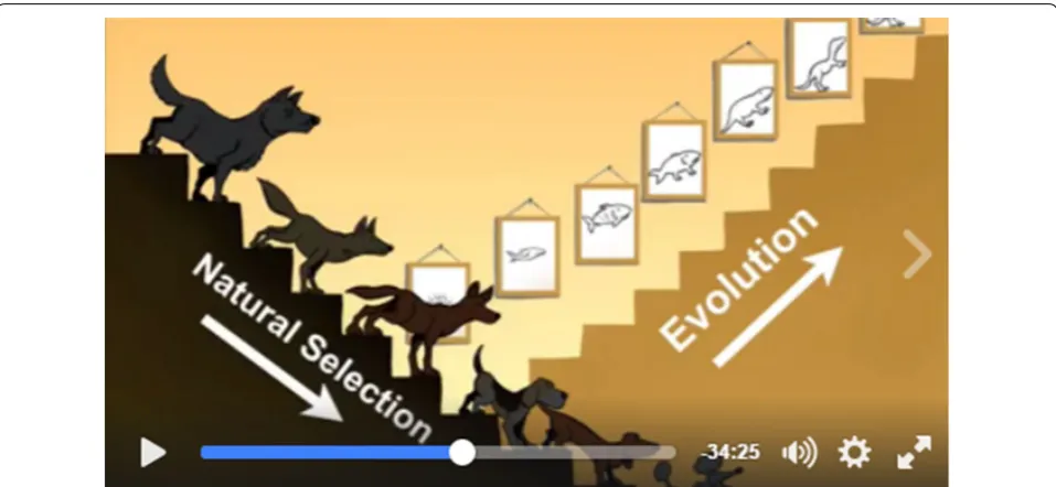 Fig. 2 Screen shot from an Answers in Genesis’ Facebook presentation July 2016 illustrating change within kinds as degradation of information and change between kinds—their definition of macroevolution—as requiring gains in information and always requiring