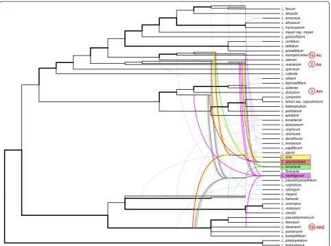 Figure 2 Phylogenetic network from the Bayesian majority rule consensus tree of the first intron of the nuclearFigure 1: yellow, purple, red, and green lines, respectively