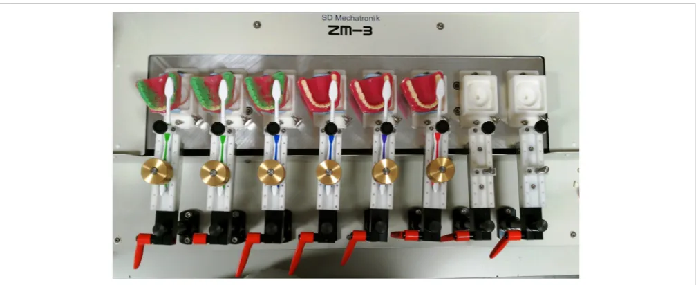 FIGURE 1 | A typical experimental set-up. Up to eight typodonts were coated with simulated plaque and mounted with brushes on the brushing simulator
