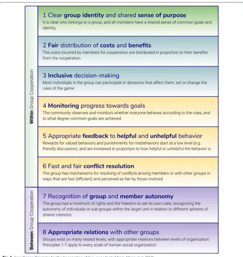 Fig. 1 Core Design Principles for the Cooperation of Groups ( adapted from Atkins et al