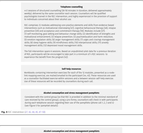 Fig. 4 R2C intervention [27, 42, 44, 45, 47–50]