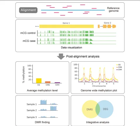 Fig. 3 Computational pipeline for genome‑wide bisulfite sequencing data analysis. Reads from bisulfite sequencing are first aligned to the refer‑ence genome