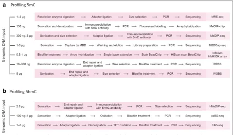 Fig. 2 Schematic overview of genome‑wide DNA methylation profiling methods. a 5mC assays