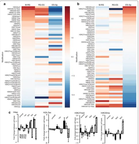 Fig. 2 Dynamic changes in histone PTMs during mouse spermatogenesis. Heatmaps depicting fold changes of individual or combinatorial histone PTMs during sequential stages of spermatogenesis, i.e., meiotic to round spermatids (M-RS), round spermatids to elon