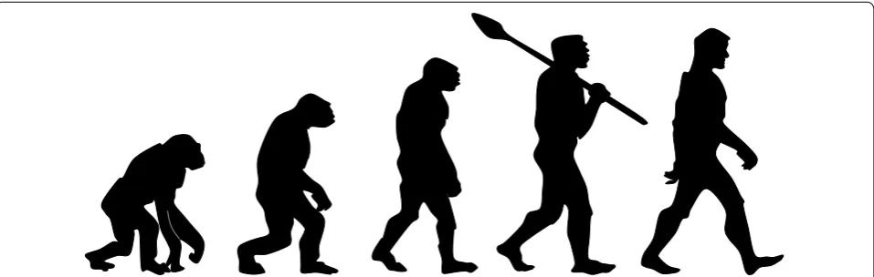 Fig. 1 Pop-cultural representation of the human evolution. This stylized representation is typical for popular-cultural of -scientific depictions of human evolution