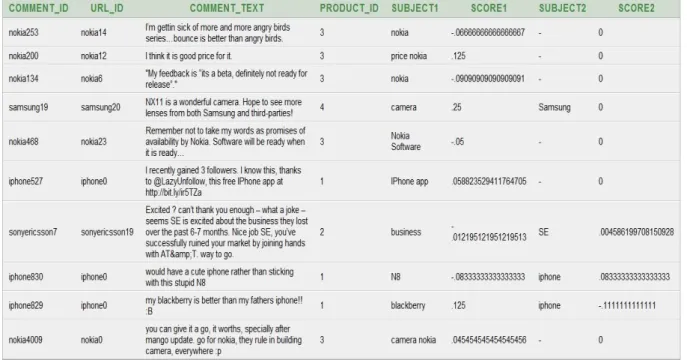 Figure 11: User Comments in database after Scoring