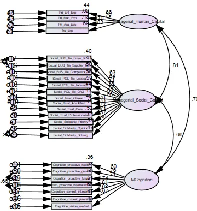 Figure 1 CFA measurement model of DMC scale. Note: X 2 = 491.088, CMIN/df = 1.996, CFI = 0.907, IFI = 0.908, GFI = 0.843, SRMR = 0.0534, RMSEA (90% C.I.) = 0.070