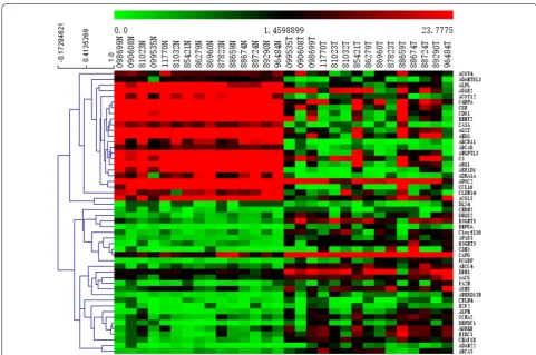 Fig. 2 Heat map of the top 50 MeDEGs. X-axis represents samples, Y-axis represents genes, red stands for upregulation, and green stands for downregulation