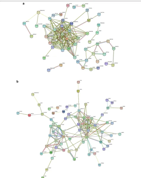 Fig. 3 PPI network of methylation-regulated differentially expressed genes. a Hypomethylated upregulated genes