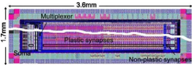 Figure 1: Layout of a test chip comprising a network of I&amp;F neurons and plastic synapses