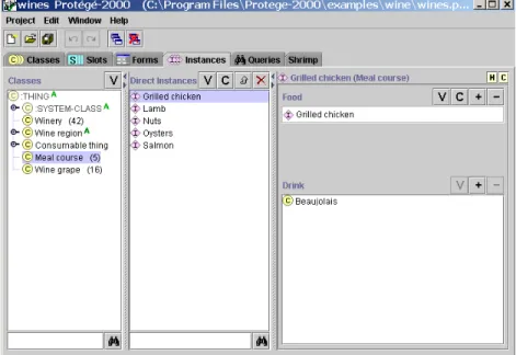 Figure 2:  This figure shows the instance tab in Protégé.  