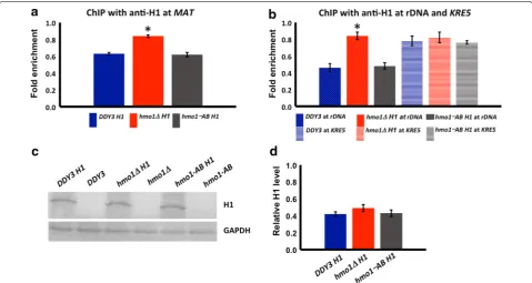 Fig. 7 Both HMO1 and HMO1 deleted for its C-terminal tail compete with H1 for binding to chromatin