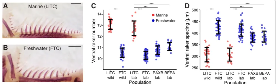 Figure S1B). Next we examined lab-reared fish from two