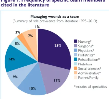 Figure 1. Frequency of specific team members  cited in the literature