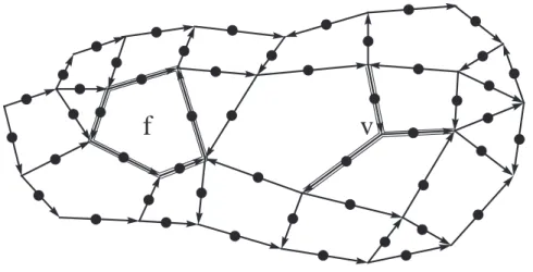 Fig. 1.3: Lattice of hypothetical particles used in the construction of the anyonic model of quantum computation.