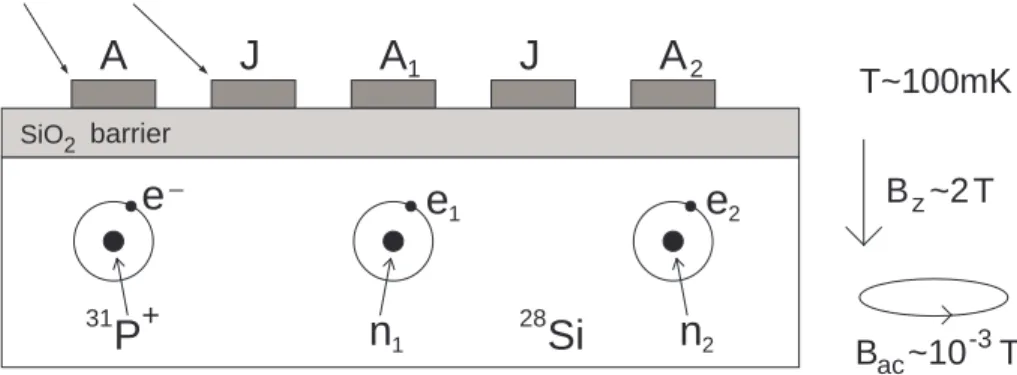 Fig. 2.1: Schematic of the Kane architecture. The rightmost two qubits show the notation to be used when discussing the cnot gate.
