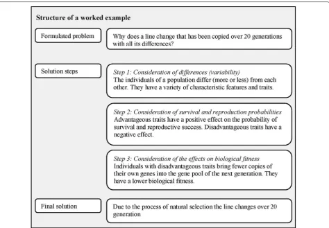 Fig. 2 The structure of a worked example (left) and the respective steps of the EvoSketch worked example used in the study (right; see also Additional file 3 for an overview of two example pages)