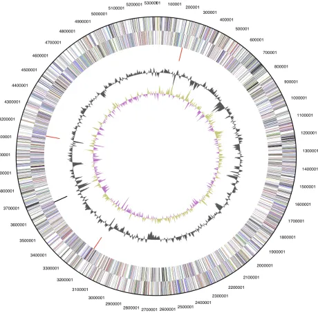 Figure 3. Graphical circular map of the genome. From outside to the center: Genes on forward strand (color by COG categories), Genes on reverse strand (color by COG categories), RNA genes (tRNAs green, rRNAs red, other RNAs black), GC content, GC skew