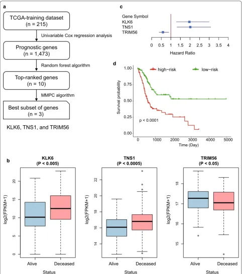 Fig. 1 The development and construction of Cox proportional hazard regression model of three‑gene‑signature