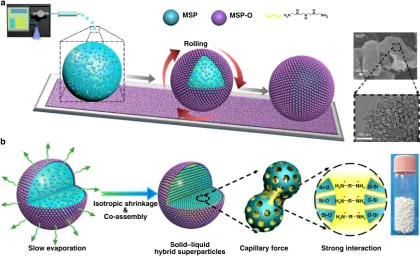 Fig. 1 Schematic illustration of the preparation of SLHSPs. a Dispensing MSP-containing aqueous TEPA droplets using a syringe pump and rolling thedroplets on a bed made of MSP-Os, SEM image of MSP (upper panel), TEM image of MSP (lower panel)