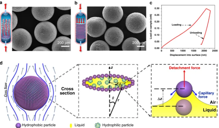 Fig. 2 Characterization of SLHSPs.TEPA and a SEM images showing the morphology, surface and interior structure of a SLHSP cut open deliberately
