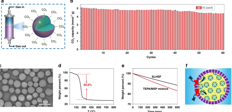 Fig. 5 SEM images of SLHSPs (23 wt% MSP) with different sizes and their CO2 sorption performances