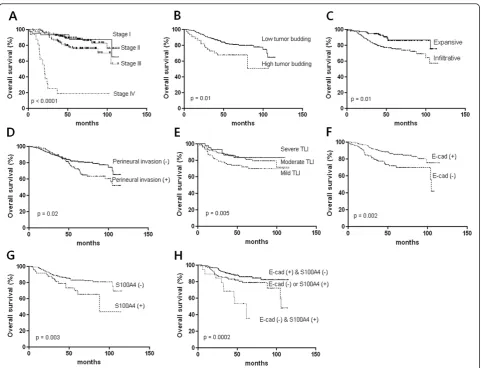 Table 4 Cox regression analysis for disease free survivaltime in colorectal cancers