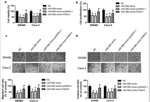 Fig. 4 PSKH1 was involved in the effect of miR-566 on CRC cell migration and invasion