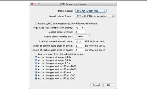 Figure 4 Dialog box for customized extraction in ImageJ from an NDPI file with production of a mosaic