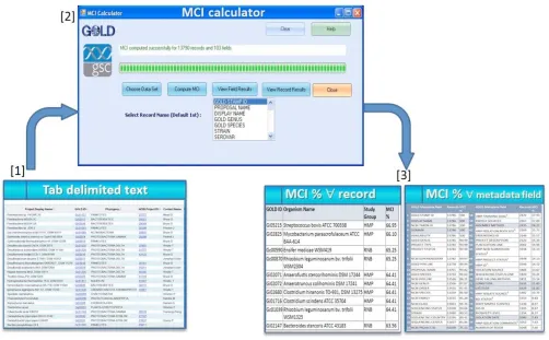 Figure 1. Schematic representation of the MCI calculation procedure. 