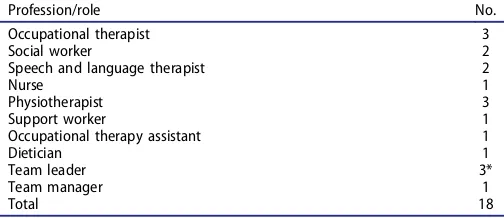 Table 1. The profession/role of team members interviewed.