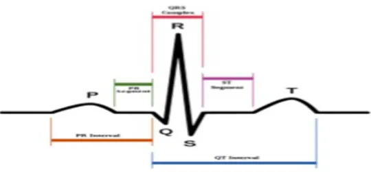 Fig. 2   Electrical pattern across the hearts activity [3]  
