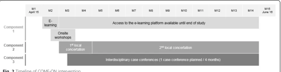 Fig. 2 Timeline of COME-ON intervention