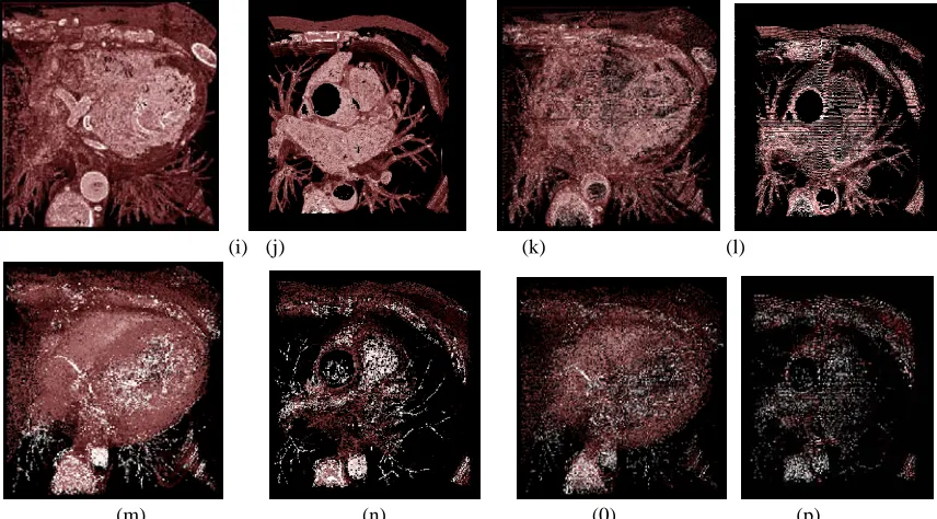 Figure 9 .2   (i) 3D edge detected toutatix1  (j) Sections from 40th(0) 3D skeletonised hexagonalized  toutatix1  (p) Sections from 40(k) 3D edge detected hexagonalized  toutatix1 (l)Sections from 40 slice to 100t slice th slice to 100th slice (m) 3D skeletonized toutatix1  (n)Sections from 40th slice to 100thslice th slice to 100th slice 