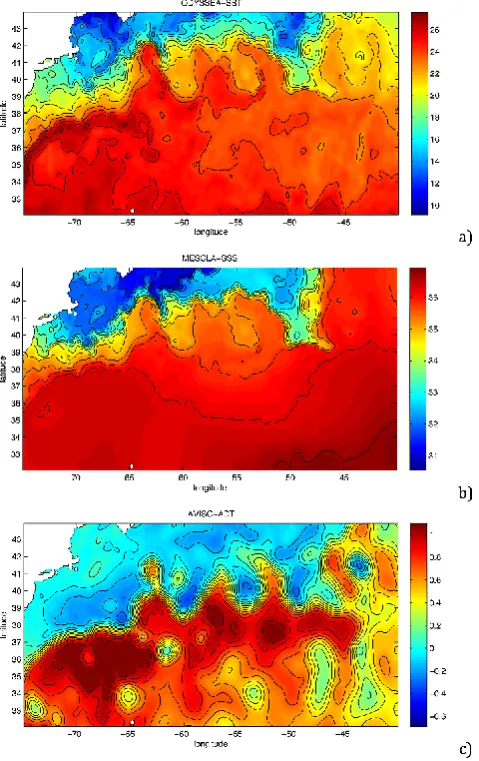 Fig. 1. (a) SST (ODYSSEA L4), (b) SSS (MESCLA HR) and (c)SSH (AVISO) over the Gulf Stream area for the 17 October 2007.