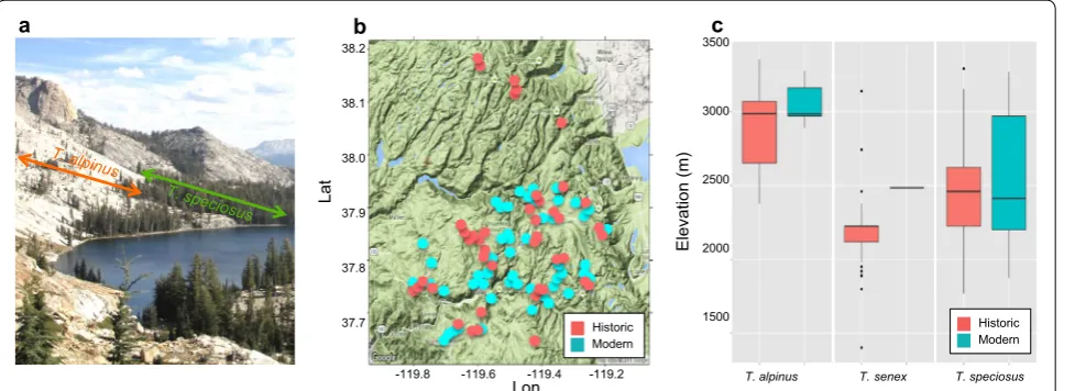 Fig. 4 Module part 1: using online resources, mapping, and statistics in R to understand movement