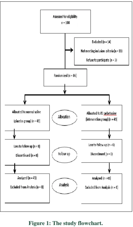 Figure 1: The study flowchart. 